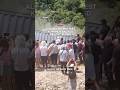 Albanians protest Kushner backed resort plans