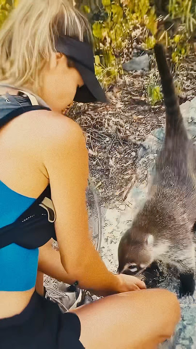 Woman Shares Water with a Thirsty Coati 🥺❤️
