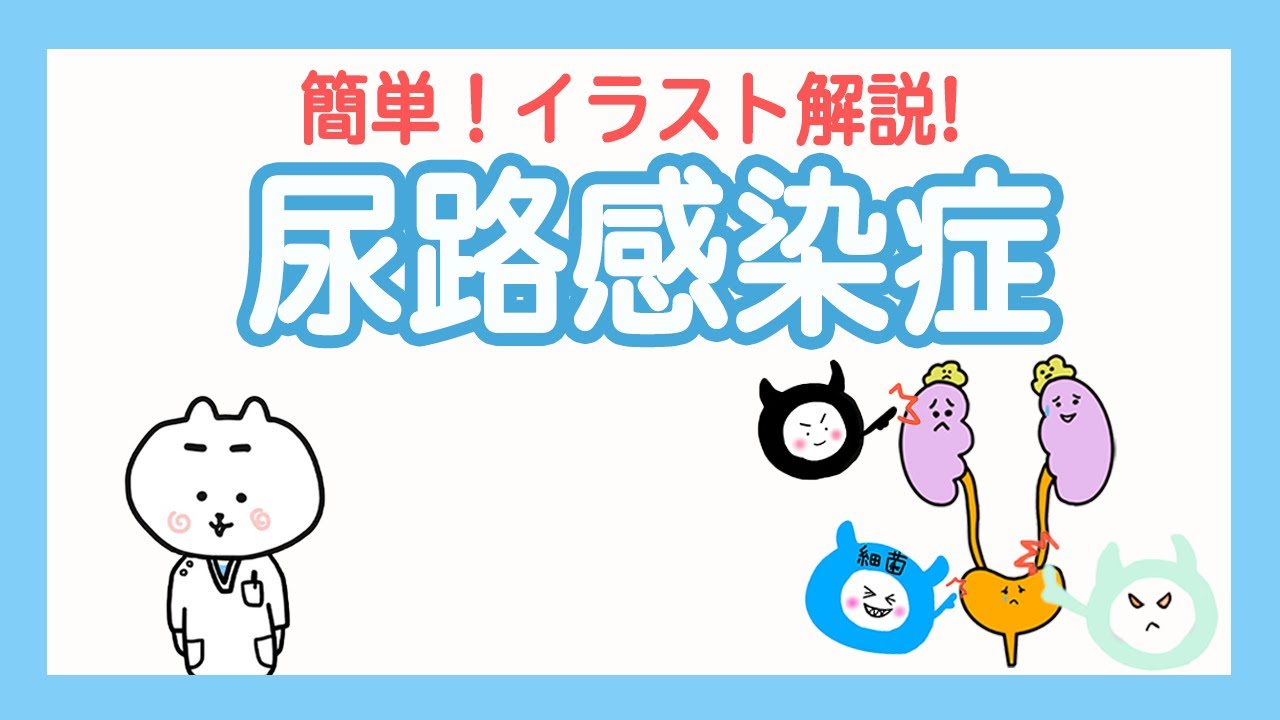 尿路感染症の原因、リスクグループ、予防