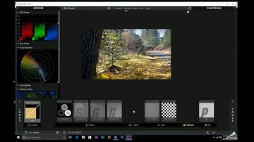 Magic Bullet Looks 4: First Impressions