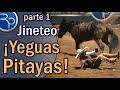 ¡Yeguas Brutas! JINETEO DE YEGUA parte 1 - 5to Torneo del Millon 2019