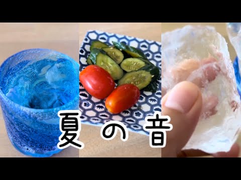 高校生の雑ASMR  夏の音【咀嚼音注意】