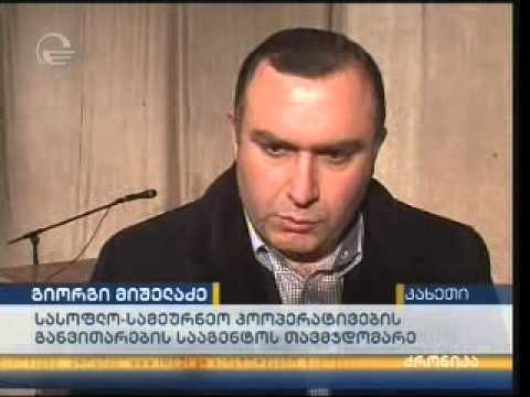 გიორგი მიშელაძე გურჯაანის რაიონის სოფელ ველისციხეში ფერმერეს შეხვდა