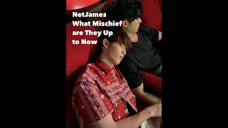 NetJames - Net and James, Being Net and James + Accidental Kiss? 😚