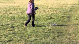 Aunt Serena Breaking Uncle Ants Christmas Present O