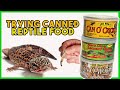 CANNED INSECTS? | Feeding my Leopard Geckos *GROSS*
