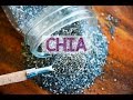 Les bienfaits de la graine de chia