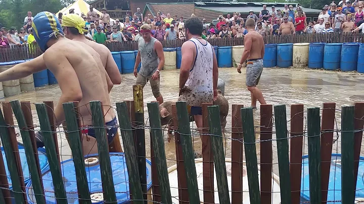 Hog wresting 2015 caldron falls