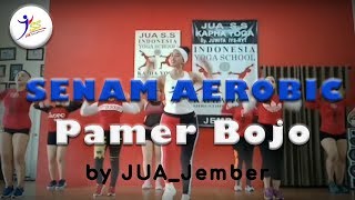 PAMER BOJO Remix / Senam Aerobic Pemula / Koreo INTI  1 By  JUA_Jember