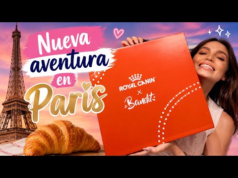 My Room in Paris and More Surprises | #royalcanin #paris #travel | Lylo Fa