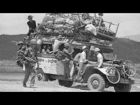 Sleduj CỎ HOA - Trung Chỉnh, Hoàng Oanh | Sáng tác: Lê Dinh - Thâu Thanh Trước 1975 na YouTube