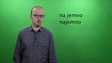 Co je slovní zásoba?