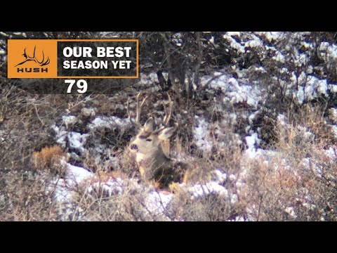 BSY | SPOTTING BUCKS IN COLORADO | S1E79