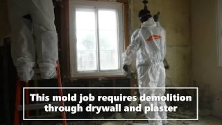 Big Mold Job The Remediation process with SERVPRO of