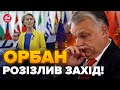 😱Раптово! ЧОРНА МІТКА для Угорщини / Європарламент вказав ОРБАНУ на місце