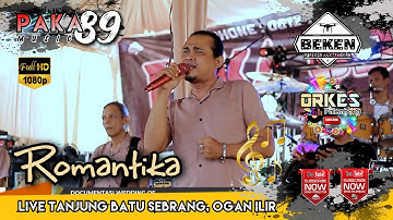 Paka 89 Music | Romantika | Live Tanjung Batu Sebrang | WD Yogi And Siska | Beken Production