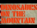 The Flaming Lips Explain American Head - Dinosaurs on the Mountain