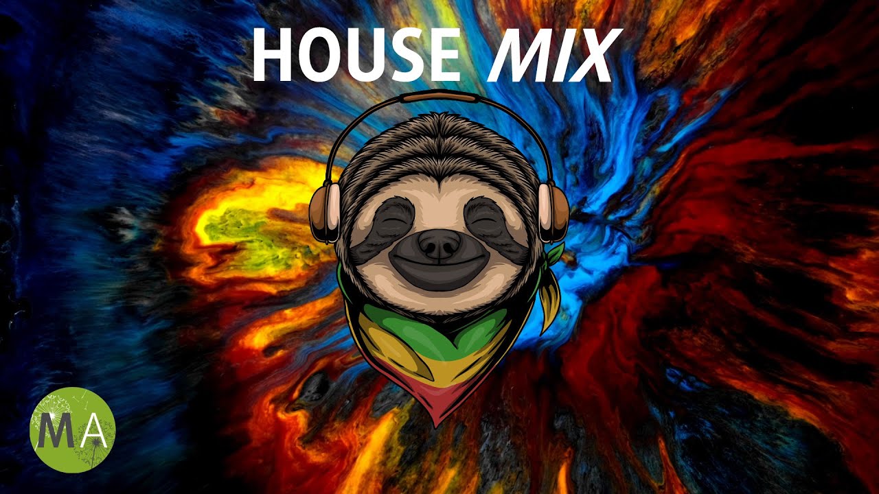 ⁣Upbeat Study Music House Mix for Deep Focus (Sloth) - Isochronic Tones