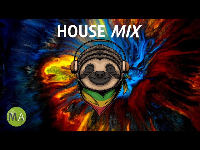 Upbeat Study Music House Mix for Deep Focus (Sloth) - Isochronic Tones class=