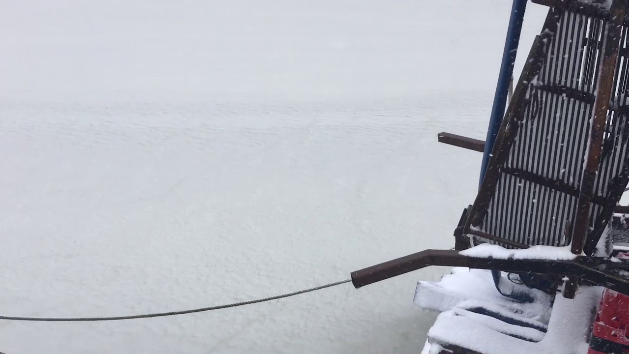 River Slaney in Wexford town freezes over