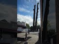 Tree Removal Crane
