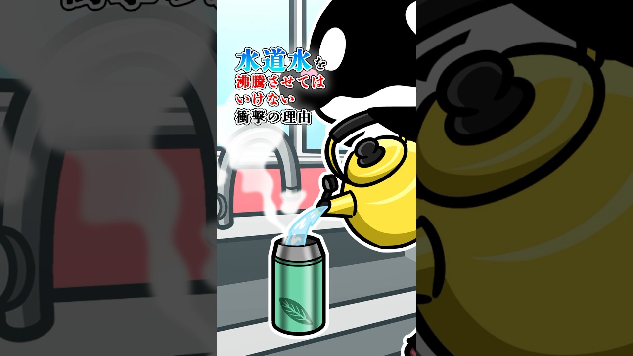 水道水を沸騰させてはいけない衝撃の理由 #テイペン #plottアニメ