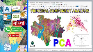 PCA || Principal Component Analysis in ArcGIS || How to perform principal component analysis