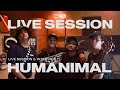Eastern wolves media  humanimal live session and interview
