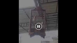 Live Suara Burung Kicau Masteran Kenari Isian Om Kicau  - Durasi: 0:33. 
