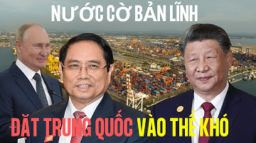 Nga Nhận Định: Việt Nam Đang Đi Nước Cờ Chiến Lược Khiến Trung Quốc Lo Lắng