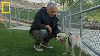 Cesar Millan: Bolji čovjek, bolji pas | National Geographic Croatia