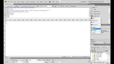 How to Embed Flash and Quicktime into your Website
