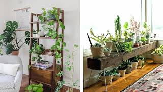 +37 Idées géniales pour décorer votre intérieur avec des plantes verte