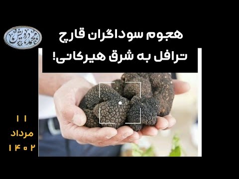 تصویری: جشنواره ترافل سفید پاییزی در ایتالیا