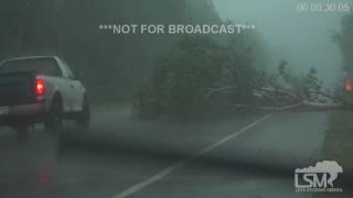 6-25-16 Duluth, MN Tree Down, Severe Storm, Rushing Creek