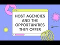 Host travel agencies and opportunities they offer to home based travel agents