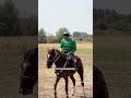 Манас ниязов