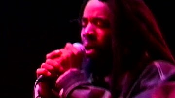 MVDvisual Presents Half Pint Featuring Dubcat - "One Big Family"