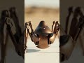 Sphere to Camel Spider Transformation 🕷️🤖 | Hyper-Realistic Mechanical ASMR | AI Generated
