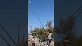 🦊ΜΕ ΒΡΗΚΕ ΤΡΕΝΟ🦊 #viral #fishing #all #highlights #ψάρεμα #youtubeshorts #fish#angler #fishinglife