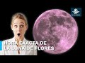 ¿Cuándo y a qué hora se verá la Luna de flores en México?