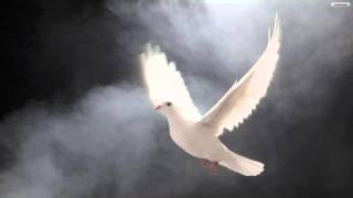 Bob Jones. The  Doves