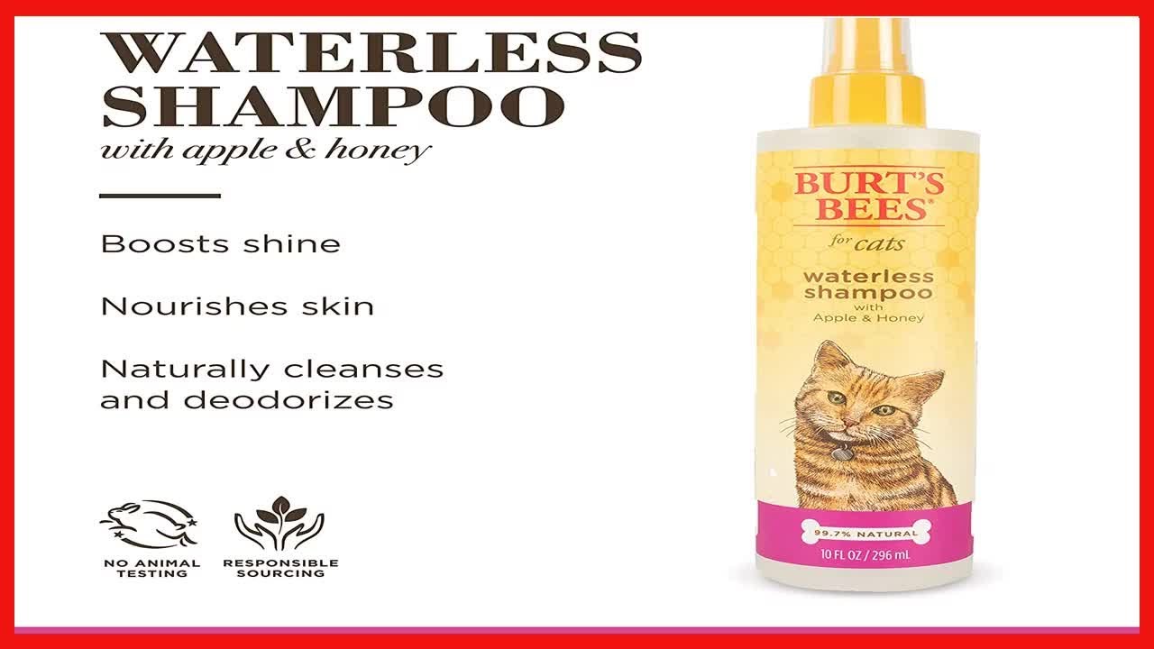 Burt's Bees Waterless Shampoo with Apple & Honey for Dogs, 10-oz bottle