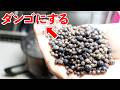 ダンゴムシを大量捕獲してお団子作ってみた。