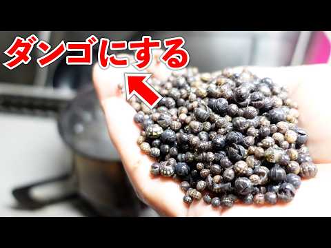 ダンゴムシを大量捕獲してお団子作ってみた。