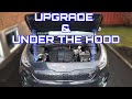 Hood Struts for the Kia Niro EV