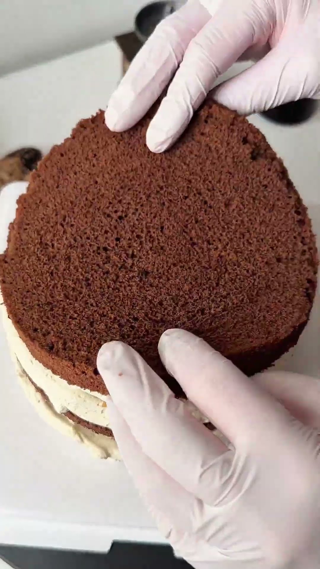 mmersive | Baking chestnut cakes, daily life of bakers, immersive cake making, animal cream