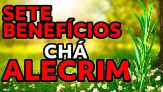 7 BENEFÍCIOS DO CHÁ DE ALECRIM - DR. CHARLES GENEHR