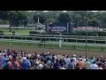 BEST Horse Racing Trifecta Strategy To Consistently Get ...