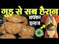 सुबह खाली पेट गुड खाने के फायदे 1 करोड़ खर्च करके भी नहीं मिलेंगे ||खाने से खत्म होते है 12 रोग